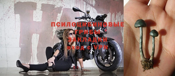 мяу мяу мука Новозыбков