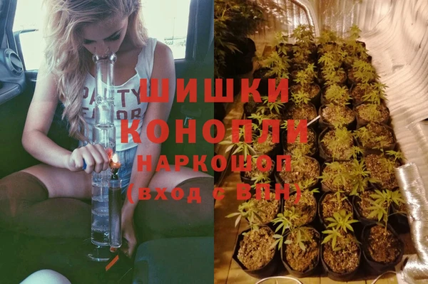 a pvp Горняк