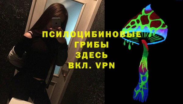 a pvp Горняк