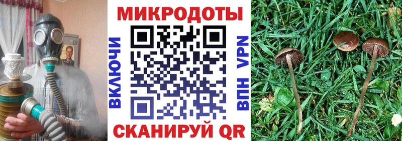 Псилоцибиновые грибы Psilocybine cubensis  Нея 